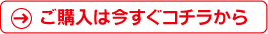 ご購入は今すぐこちらから