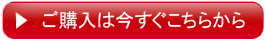 ご購入は今すぐこちらから