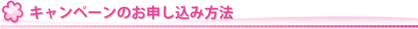 キャンペーンの申込み方法