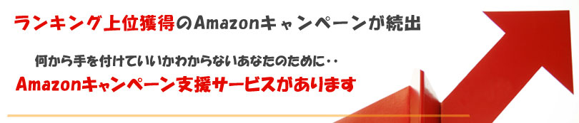 成功するAmazonキャンペーン（アマゾンキャンペーン）支援サービス