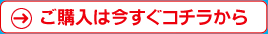 ご購入は今すぐこちらから