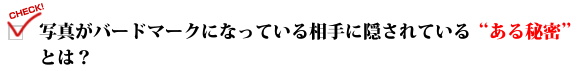 写真がバードマークになっている相手に隠されている"ある秘密"とは？