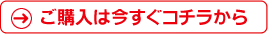 ご購入は今すぐこちらから